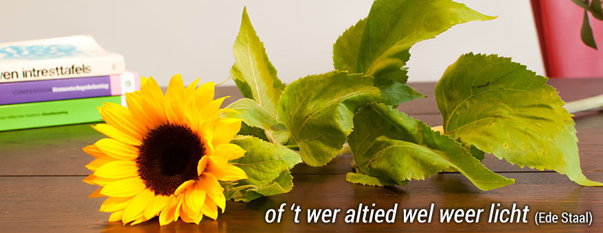 Hoe-werkt-het-na