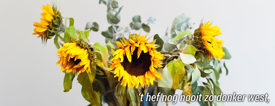 Hoe-werkt-het-voor